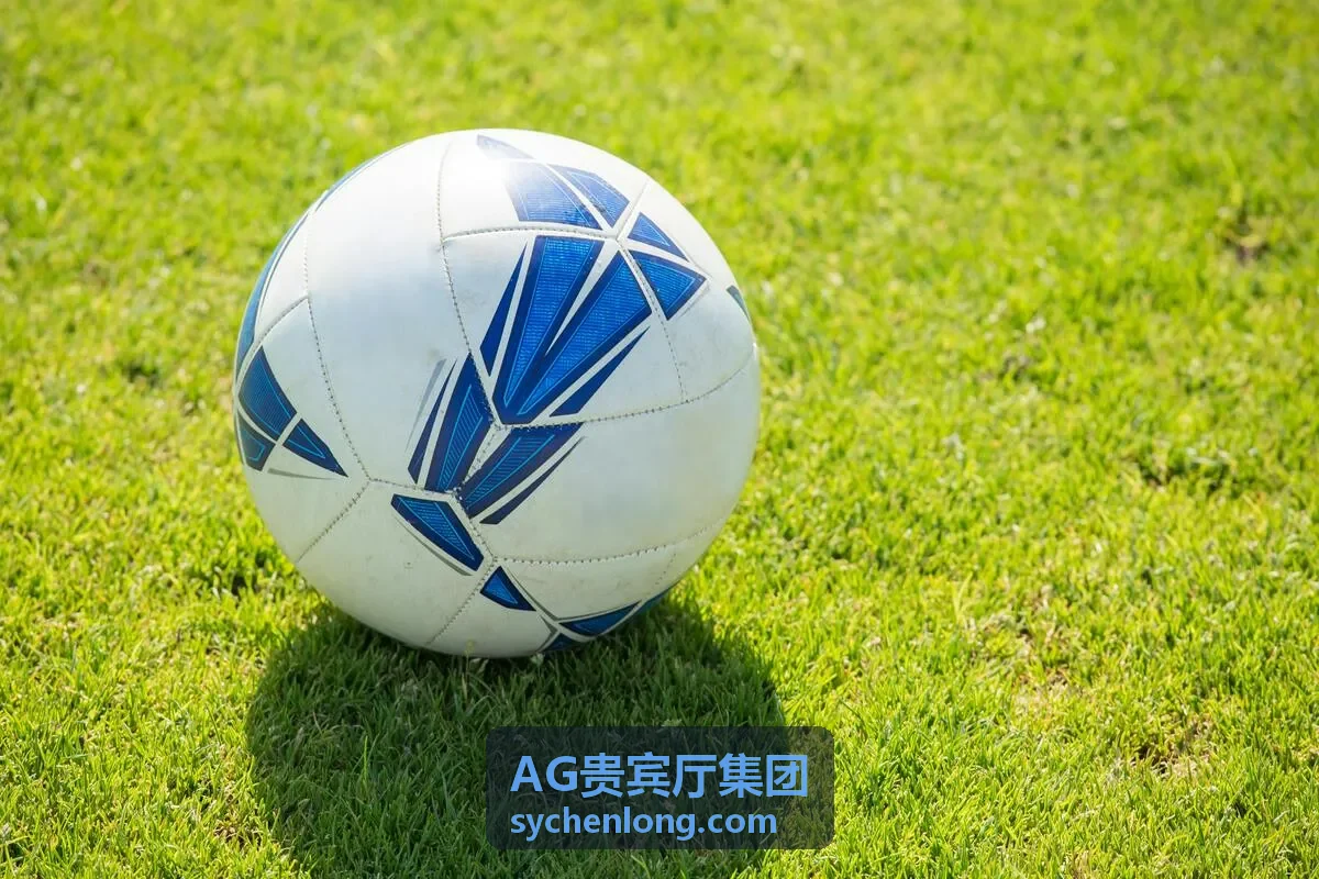 AG贵宾厅全球礼宾